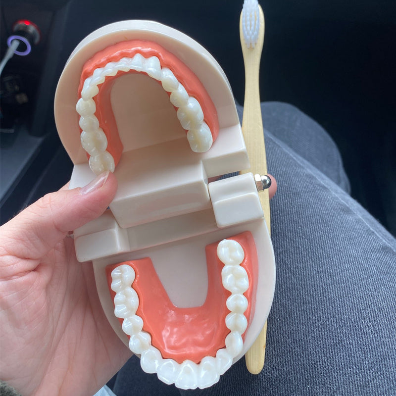 Montessori Educational Toys For Children Early Learning Kids Intelligence Brushing